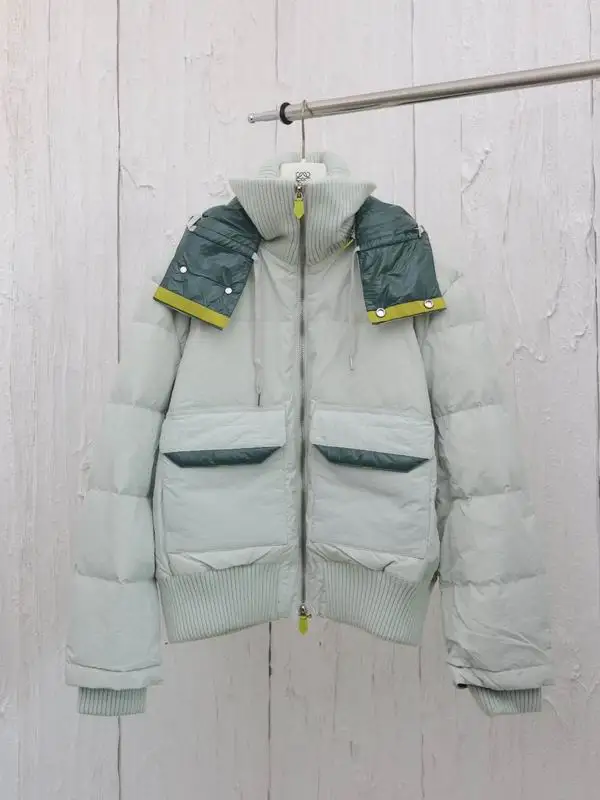 Hermes Down Jacket 1107