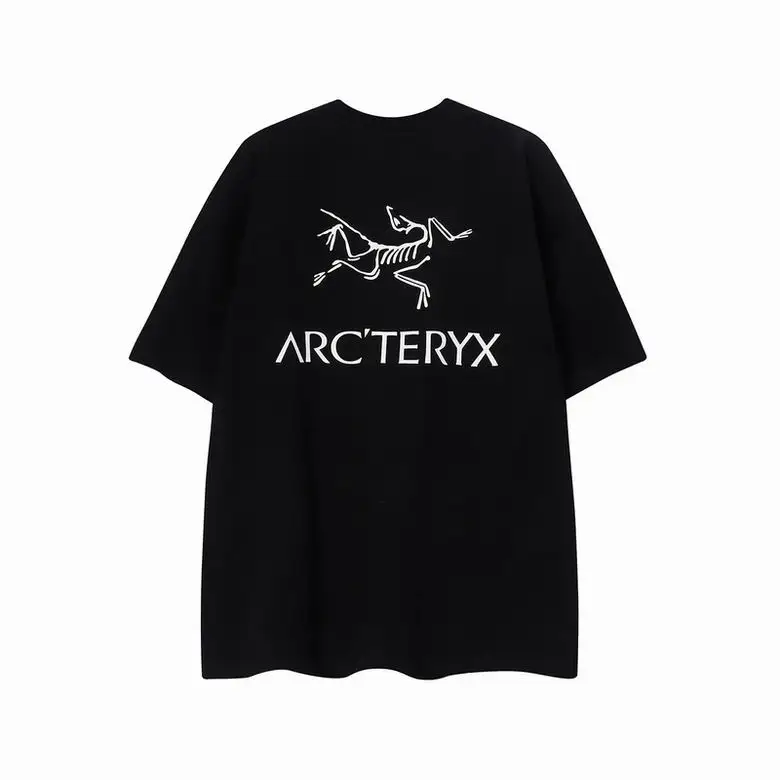 Arcteryx T Shirt 1105